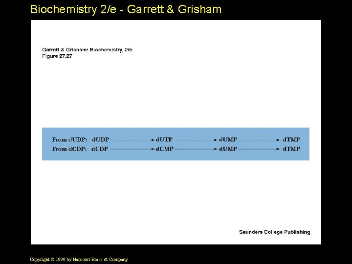 Biochemistry 2/e - Garrett & Grisham Copyright © 1999 by Harcourt Brace & Company