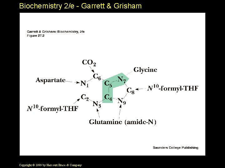 Biochemistry 2/e - Garrett & Grisham Copyright © 1999 by Harcourt Brace & Company