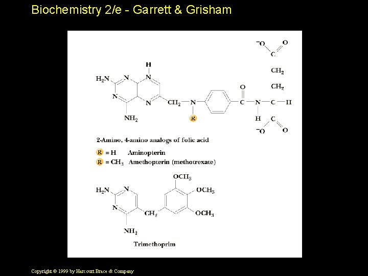 Biochemistry 2/e - Garrett & Grisham Copyright © 1999 by Harcourt Brace & Company