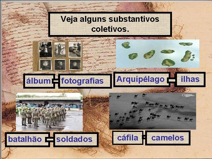 Veja alguns substantivos coletivos. álbum batalhão fotografias soldados Arquipélago cáfila ilhas camelos 