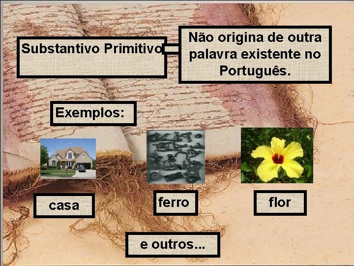 Substantivo Primitivo Não origina de outra palavra existente no Português. Exemplos: casa ferro e