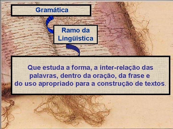 Gramática Ramo da Lingüística Que estuda a forma, a inter-relação das palavras, dentro da