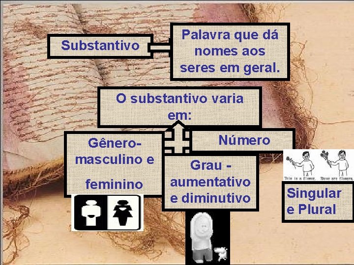 Substantivo Palavra que dá nomes aos seres em geral. O substantivo varia em: Gêneromasculino