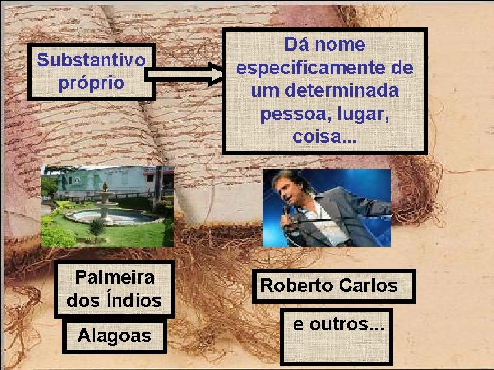 Substantivo próprio Palmeira dos Índios Alagoas Dá nome especificamente de um determinada pessoa, lugar,