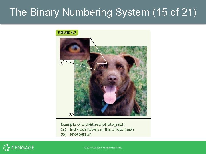 The Binary Numbering System (15 of 21) 