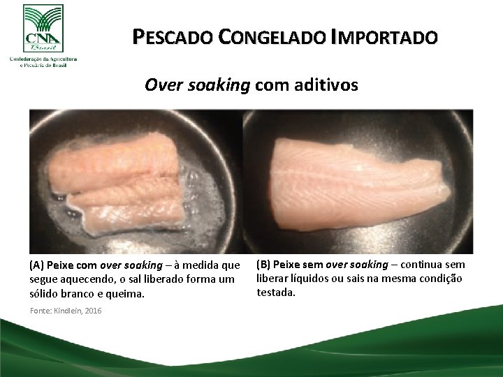PESCADO CONGELADO IMPORTADO Over soaking com aditivos (A) Peixe com over soaking – à