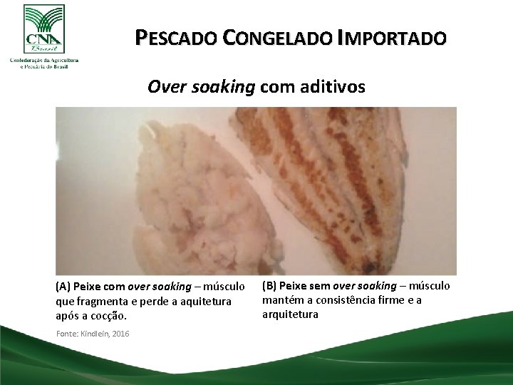 PESCADO CONGELADO IMPORTADO Over soaking com aditivos (A) Peixe com over soaking – músculo