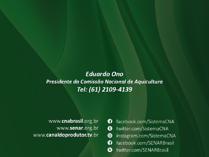 Eduardo Ono Presidente da Comissão Nacional de Aquicultura Tel: (61) 2109 -4139 