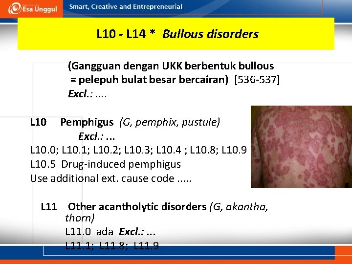 L 10 - L 14 * Bullous disorders (Gangguan dengan UKK berbentuk bullous =