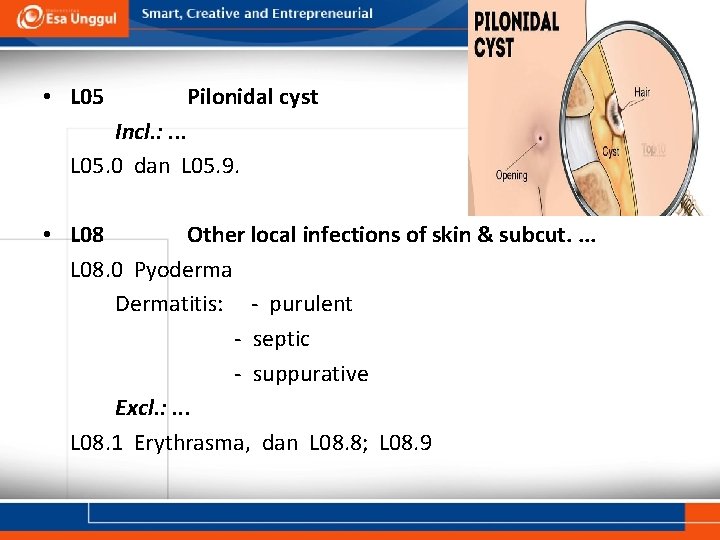  • L 05 Pilonidal cyst Incl. : . . . L 05. 0