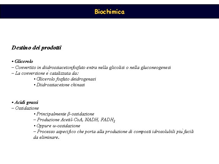 Biochimica Destino dei prodotti • Glicerolo – Convertito in diidrossiacetonfosfato entra nella glicolisi o