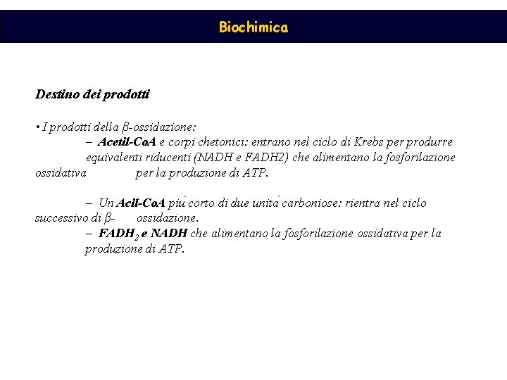 Biochimica Destino dei prodotti • I prodotti della β-ossidazione: – Acetil-Co. A e corpi