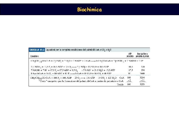 Biochimica 