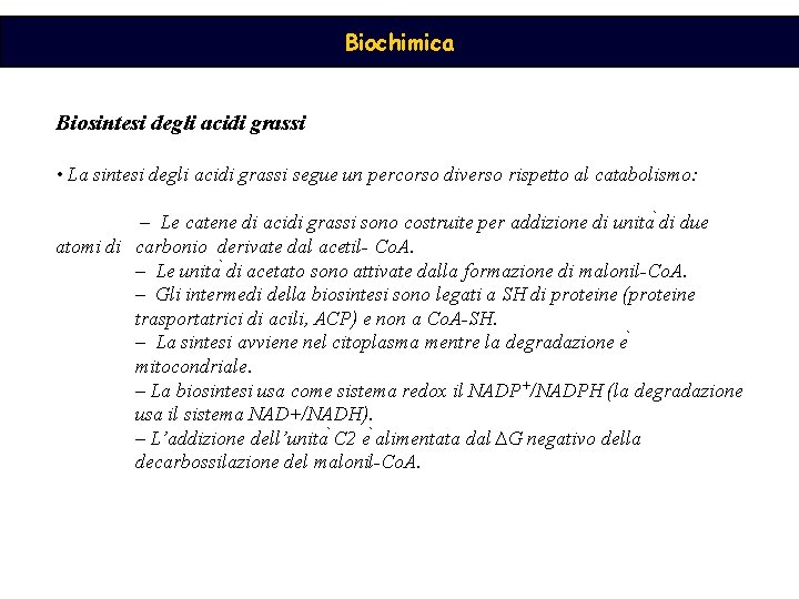 Biochimica Biosintesi degli acidi grassi • La sintesi degli acidi grassi segue un percorso