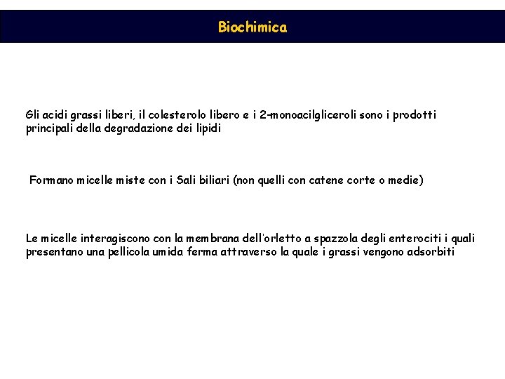 Biochimica Gli acidi grassi liberi, il colesterolo libero e i 2 -monoacilgliceroli sono i