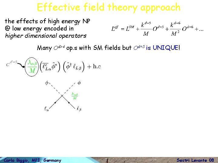 Effective field theory approach the effects of high energy NP @ low energy encoded