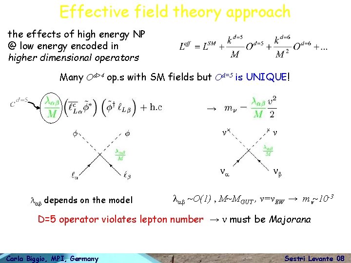 Effective field theory approach the effects of high energy NP @ low energy encoded