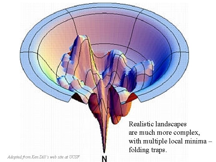 Realistic landscapes are much more complex, with multiple local minima – folding traps. Adopted