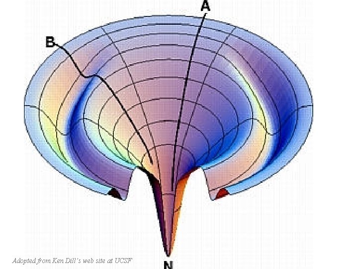 Adopted from Ken Dill’s web site at UCSF 