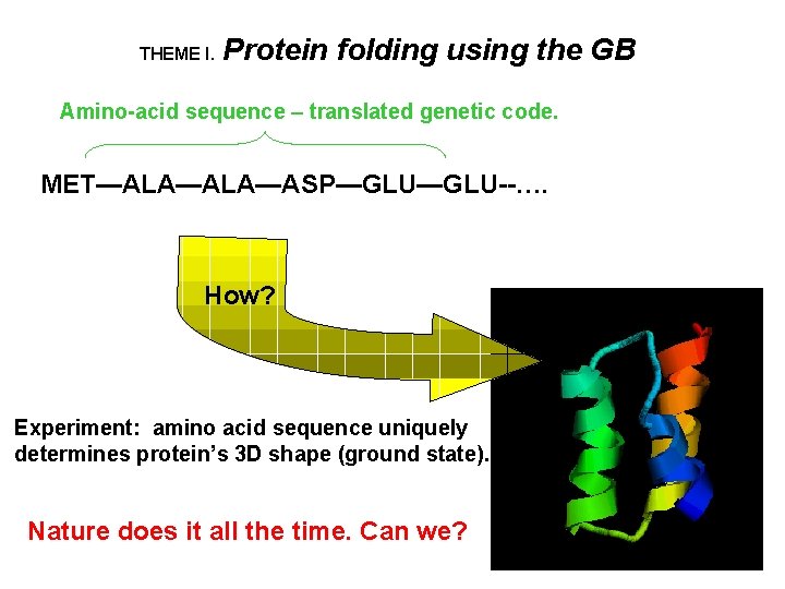 THEME I. Protein folding using the GB Amino-acid sequence – translated genetic code. MET—ALA—ASP—GLU--….