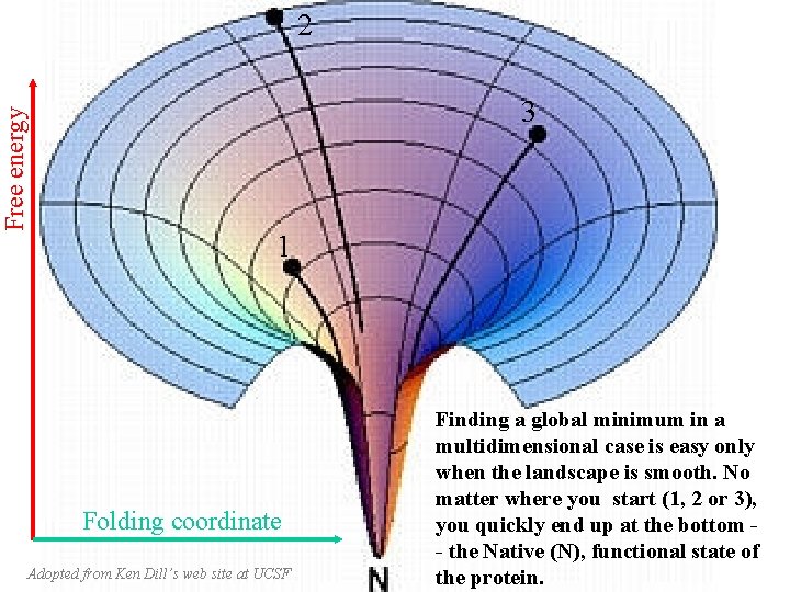 Free energy 2 3 1 Folding coordinate Adopted from Ken Dill’s web site at