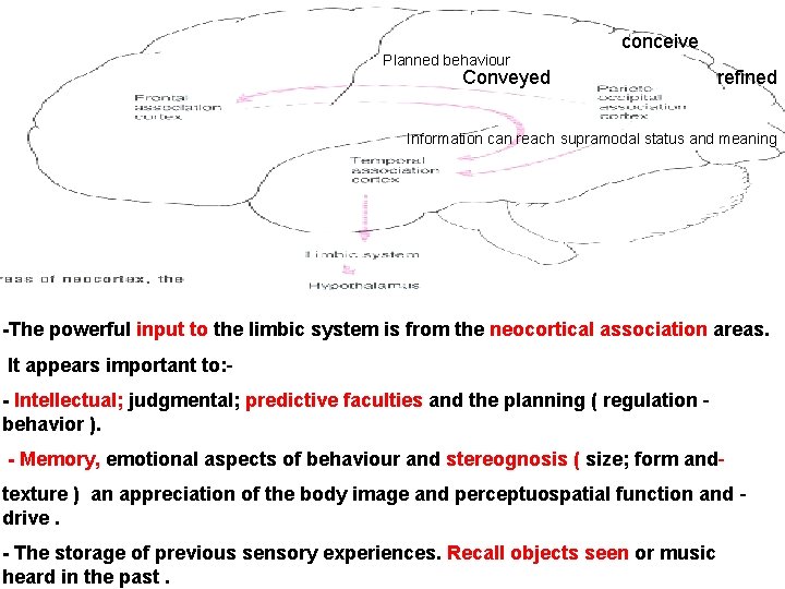 conceive Planned behaviour Conveyed refined Information can reach supramodal status and meaning -The powerful