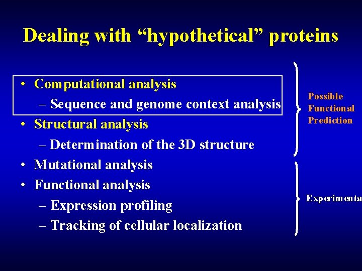 Dealing with “hypothetical” proteins • Computational analysis – Sequence and genome context analysis •