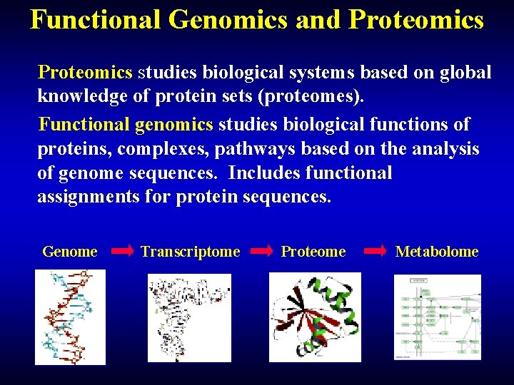 Functional Genomics and Proteomics studies biological systems based on global knowledge of protein sets