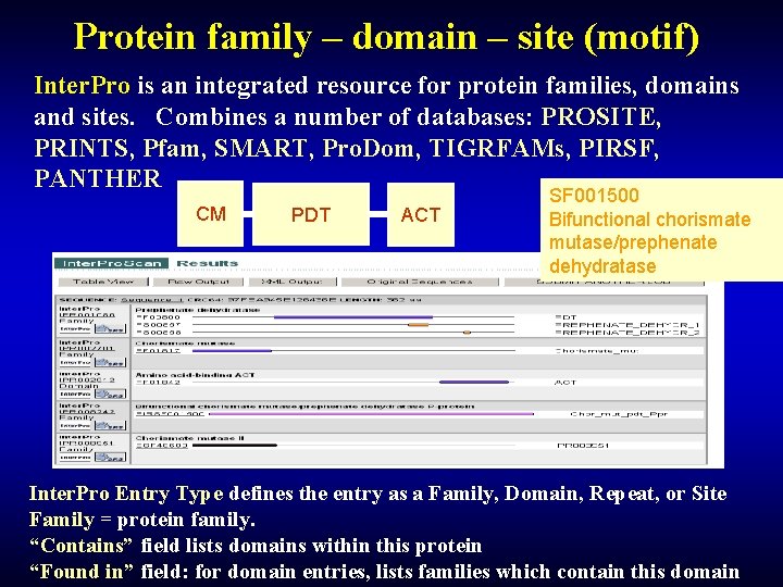 Protein family – domain – site (motif) Inter. Pro is an integrated resource for