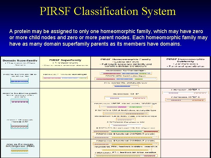 PIRSF Classification System A protein may be assigned to only one homeomorphic family, which