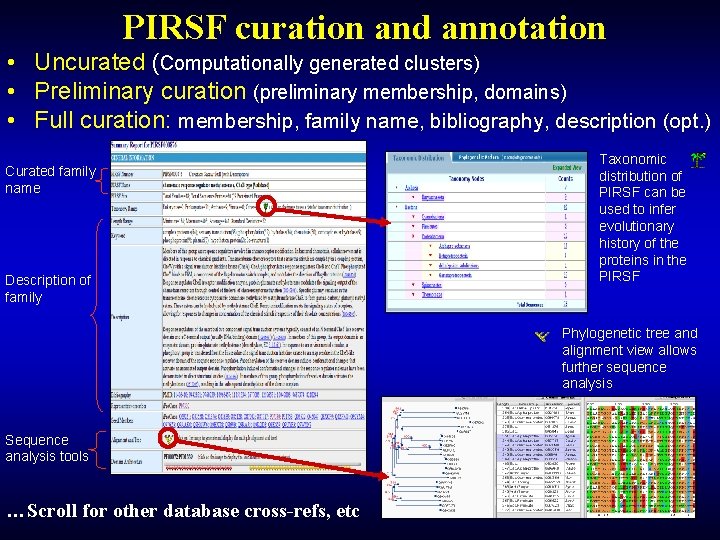 PIRSF curation and annotation • Uncurated (Computationally generated clusters) • Preliminary curation (preliminary membership,