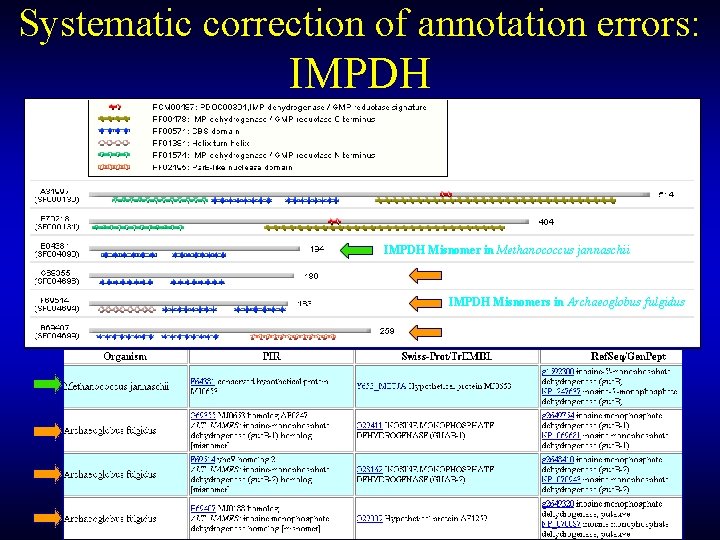 Systematic correction of annotation errors: IMPDH Misnomer in Methanococcus jannaschii IMPDH Misnomers in Archaeoglobus