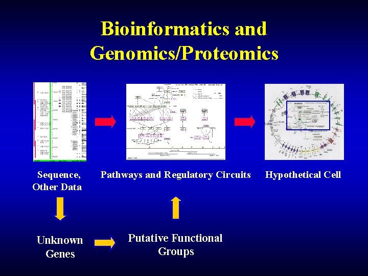 Bioinformatics and Genomics/Proteomics Sequence, Other Data Unknown Genes Pathways and Regulatory Circuits Putative Functional