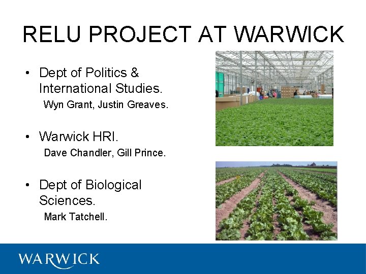 RELU PROJECT AT WARWICK • Dept of Politics & International Studies. Wyn Grant, Justin