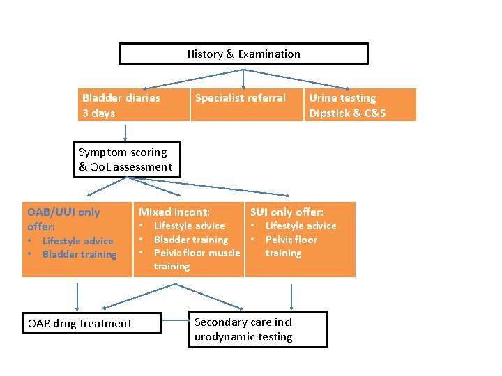 History & Examination Bladder diaries 3 days Specialist referral Urine testing Dipstick & C&S