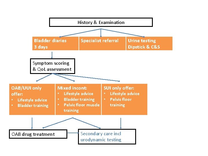 History & Examination Bladder diaries 3 days Specialist referral Urine testing Dipstick & C&S
