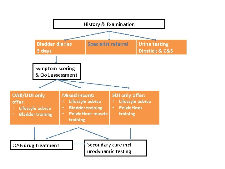 History & Examination Bladder diaries 3 days Specialist referral Urine testing Dipstick & C&S