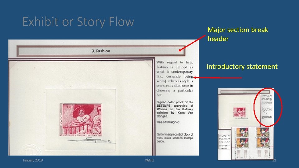 Exhibit or Story Flow Major section break header Introductory statement January 2019 CANEJ 22