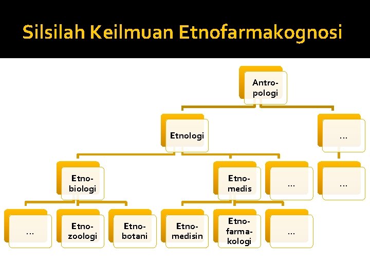 Silsilah Keilmuan Etnofarmakognosi Antropologi Etnobiologi . . . Etnozoologi Etnobotani Etnomedisin . . .