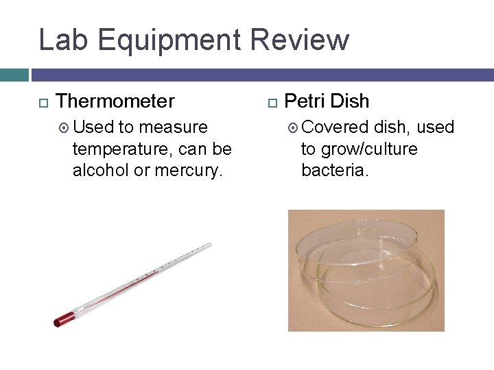 Lab Equipment Review Thermometer Used to measure temperature, can be alcohol or mercury. Petri