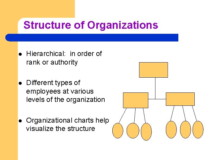 Structure of Organizations l Hierarchical: in order of rank or authority l Different types