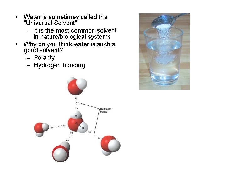 • Water is sometimes called the “Universal Solvent” – It is the most