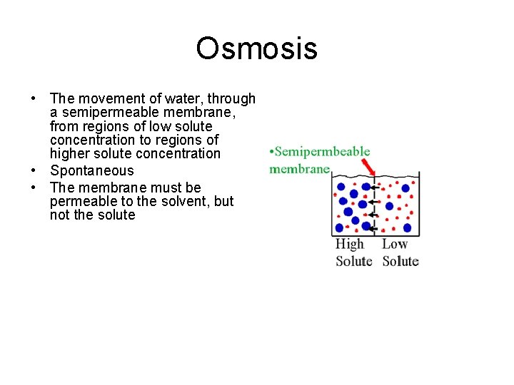 Osmosis • The movement of water, through a semipermeable membrane, from regions of low