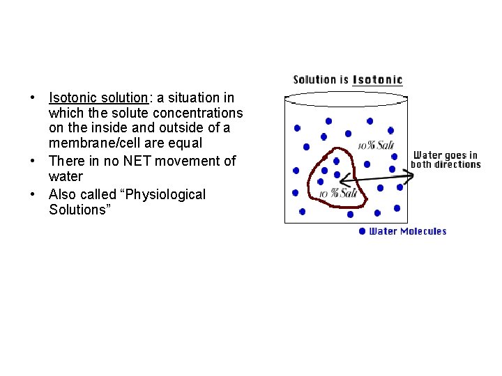  • Isotonic solution: a situation in which the solute concentrations on the inside