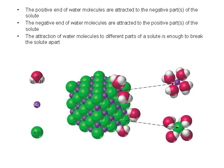  • • • The positive end of water molecules are attracted to the