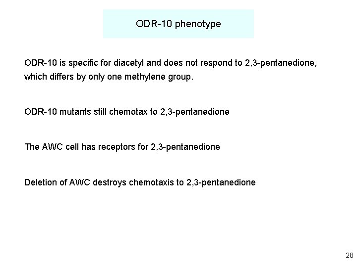 ODR-10 phenotype ODR-10 is specific for diacetyl and does not respond to 2, 3