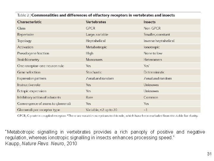 “Metabotropic signalling in vertebrates provides a rich panoply of positive and negative regulation, whereas