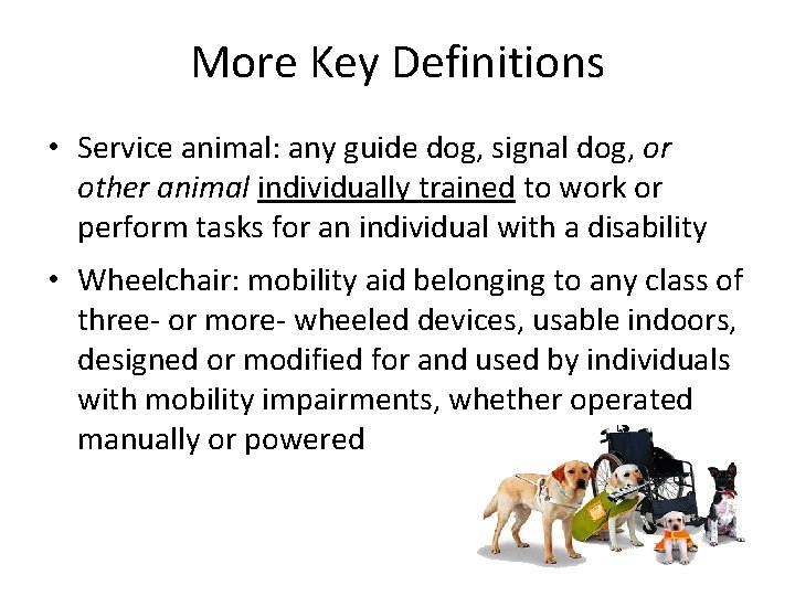 More Key Definitions • Service animal: any guide dog, signal dog, or other animal