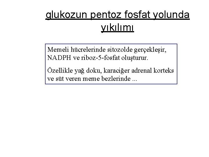 glukozun pentoz fosfat yolunda yıkılımı Memeli hücrelerinde sitozolde gerçekleşir, NADPH ve riboz-5 -fosfat oluşturur.