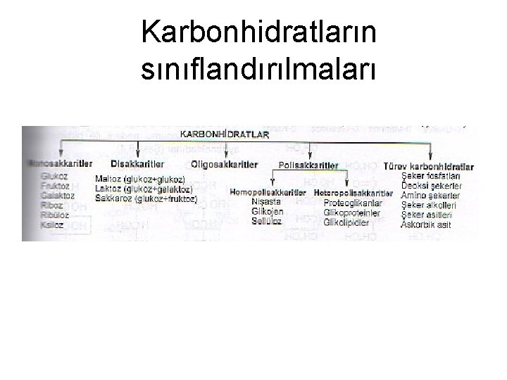 Karbonhidratların sınıflandırılmaları 